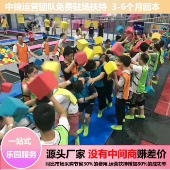 连云港蹦床公园蹦床运动馆投资加盟年盈利500万元厂家包运营