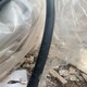 價格怎么樣圖