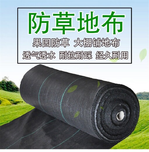 朝陽pe防草布,打孔PP蓋草布