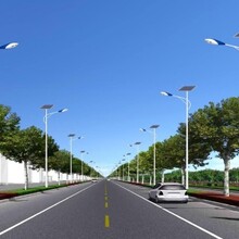 遼陽安裝路燈桿,小區(qū)街道LED路燈桿圖片
