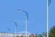 鄂尔多斯供应路灯杆,10米路灯灯杆制造批发
