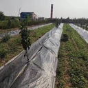 邯鄲pe防草布,防草布一畝地成本