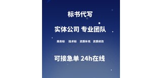 荆州标书代写公司商用代做标书赞点标书图片1