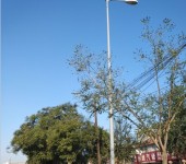 马鞍山安装路灯杆,小区街道LED路灯杆