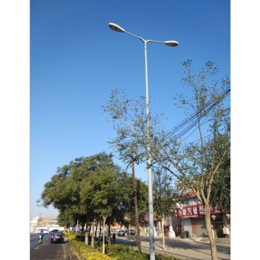 萍乡安装路灯杆,10米路灯灯杆制造批发