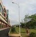 双鸭山安装路灯杆,10米路灯灯杆制造批发