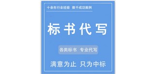 荆州标书代写公司商用代做标书赞点标书图片2