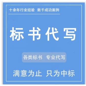 广东标书代写公司电子代做标书赞点标书