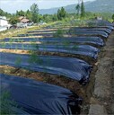 蓋草布-哈爾濱批發(fā)防草布-除草布批發(fā)
