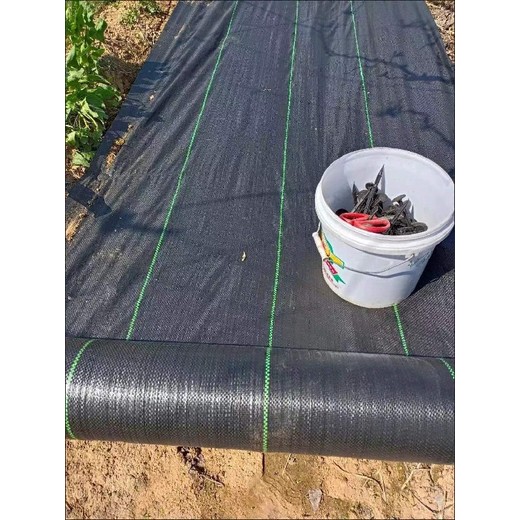 除草布防草布廠家-90克防草布廠家
