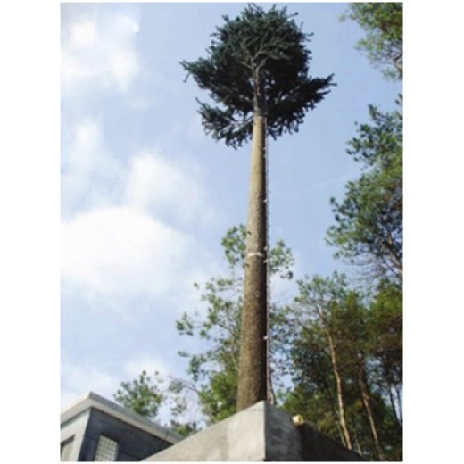 青岛安装仿生树,钢结构监控塔