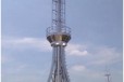 泉州供应工艺塔,钢结构避雷针