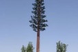 三明仿生树多少钱,钢结构监控塔
