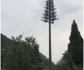 朔州仿生树需要联系,仿生树信号塔