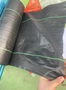海南除草地布批發(fā)-除草布批發(fā)-除草地布