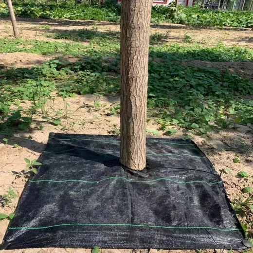 防草布鋪設(shè)