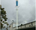 仙桃安装美化塔,30米插接式法兰式