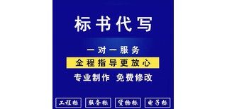 天津标书代写公司制作代做标书赞点标书图片3