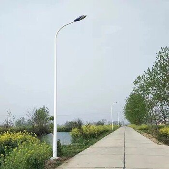 武威安装路灯杆,道路路灯灯杆