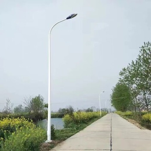 呼伦贝尔安装路灯杆,10米路灯灯杆制造批发