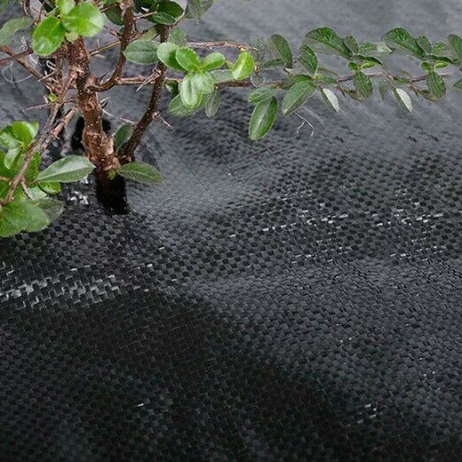 農(nóng)業(yè)防草布價(jià)格-防草除草布廠家