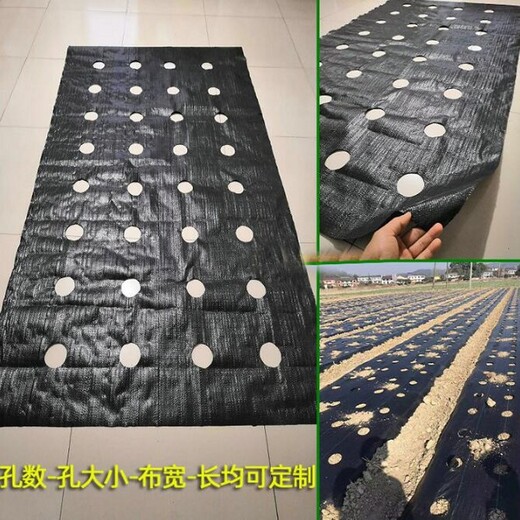 衢州園藝地布果園鋪蓋保濕防草,防草布價格