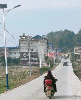 四川射洪縣太陽能路燈-太陽能路燈廠家定制