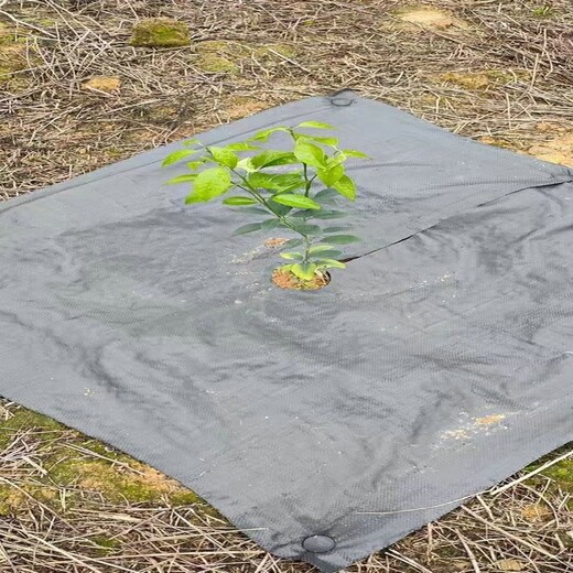 怀柔除草效果好园艺地布,出口除草布厂家