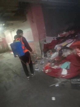 洛江區(qū)滅老鼠價格