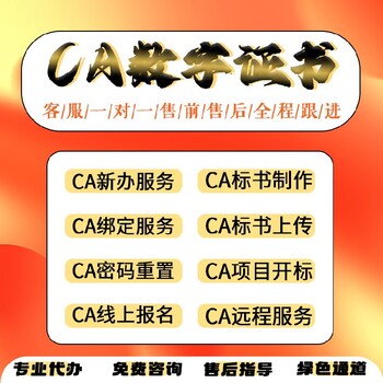 山东汶上县代办CA投标锁