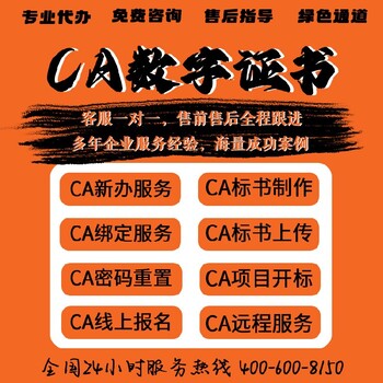 湖南南县代办CA投标锁