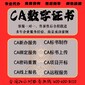 廣東南澳縣代辦CA投標鎖圖片