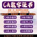 广东连州市代办CA投标锁