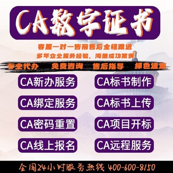 山东汶上县代办CA投标锁