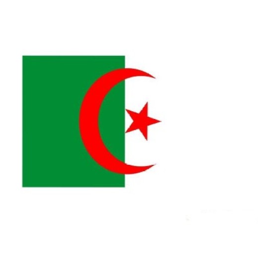河北阿尔及利亚COC认证是什么