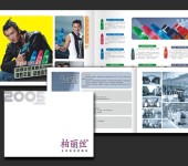 广州广告设计公司全网推广服务