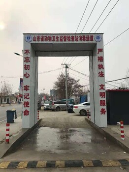 防疫車輛消毒通道設(shè)備定制樂馳車輛消毒通道批發(fā)
