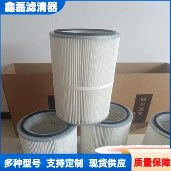 除塵濾清器黑龍江定制304不銹鋼骨架除塵濾芯