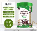新疆骆驼奶代加工厂家正宗新疆骆驼奶粉价格图片