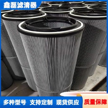 除尘过滤器抛丸机除尘器滤筒350*660材质