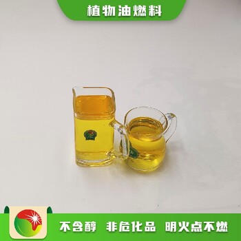 云南無醇燃料第六代不易燃不易爆