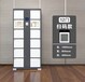  What are the styles of lockers? What is the price of fingerprint locker