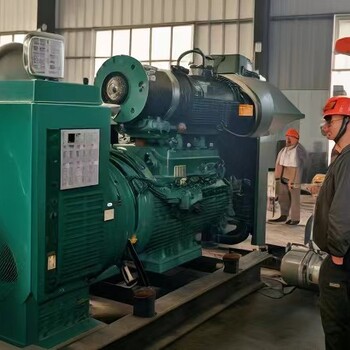 青島即墨租賃發(fā)電機(jī)300千瓦-發(fā)電任選