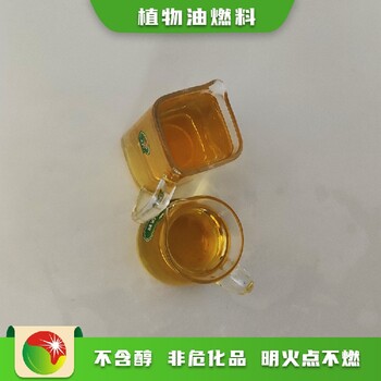 遼寧遼陽遼陽縣第六代植物油燃料標準型號