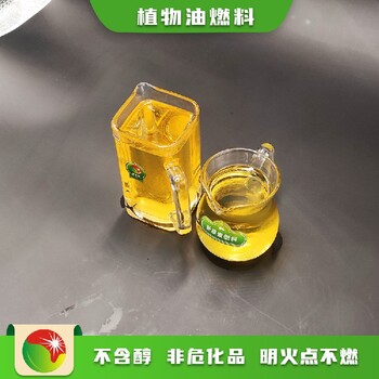 广东广州荔湾环保专用植物油燃料包教包会