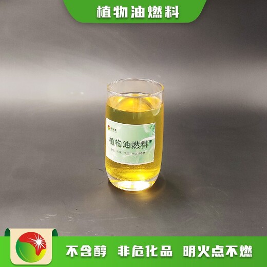 大邑大型液蠟燃料升級(jí)版在家即可辦廠