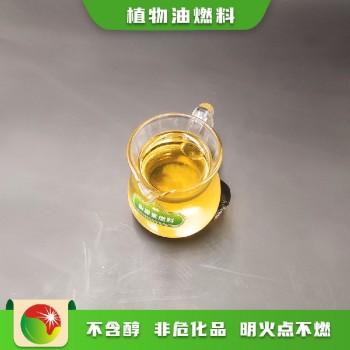 陕西华阴市电子液蜡燃料升级版品牌优势