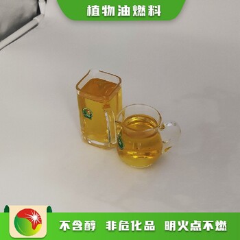 萬源市定制六代植物油替代液化氣
