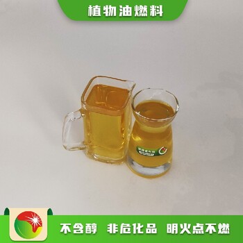 福建漳州薌城區第六代植物油燃料安裝指導