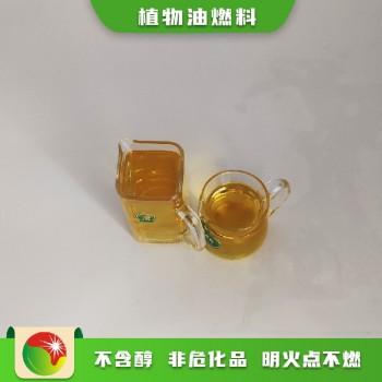 广西桂林资源县第六代植物油燃料产品维修